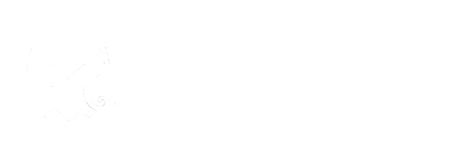 XOAdult Sexy Lingerie
